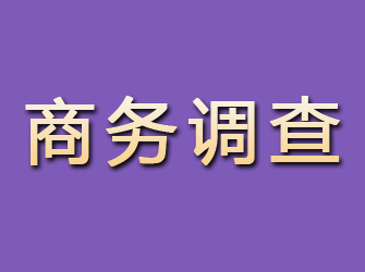 下陆商务调查